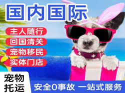 浪头机场邮寄国际宠物托运 【国